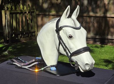HSE Noseband Designed for the Comfort and Transition Bridle