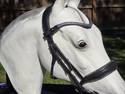 HSE Noseband Designed for the Comfort and Transition Bridle