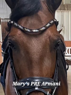 Med. U Mix Pattern  ARIANA “NO SNAG Secure-Stitch" Hot Fix Glass Crystal) * Easy On/Off Crystal Rivet Button Closure   * BLACK or BROWN Leather Browband  *Mocha, Lt. Colorado Topaz &amp; Clear