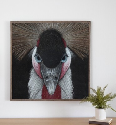 West African Crowned Crane Art Print