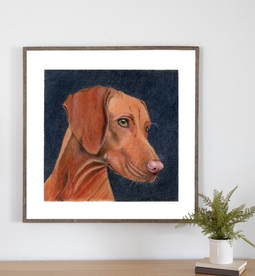 Vizla Art Print