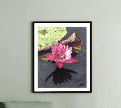 Water Lily Reverie Colored Pencil Art Print