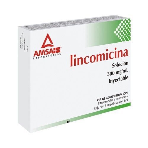 LINCOMICINA 300 MG/1 ML 6 AMP AMSA