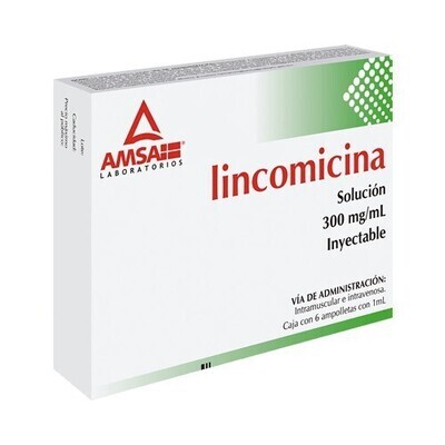 LINCOMICINA 300 MG/1 ML 6 AMP IM, IV AMSA