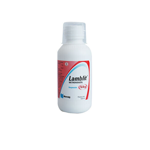 LAMBLIT 5 G SUSP 120 ML