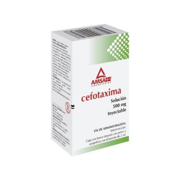 CEFOTAXIMA 500 MG IM AMP AMSA