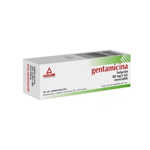 GENTAMICINA 80 MG AMP AMSA