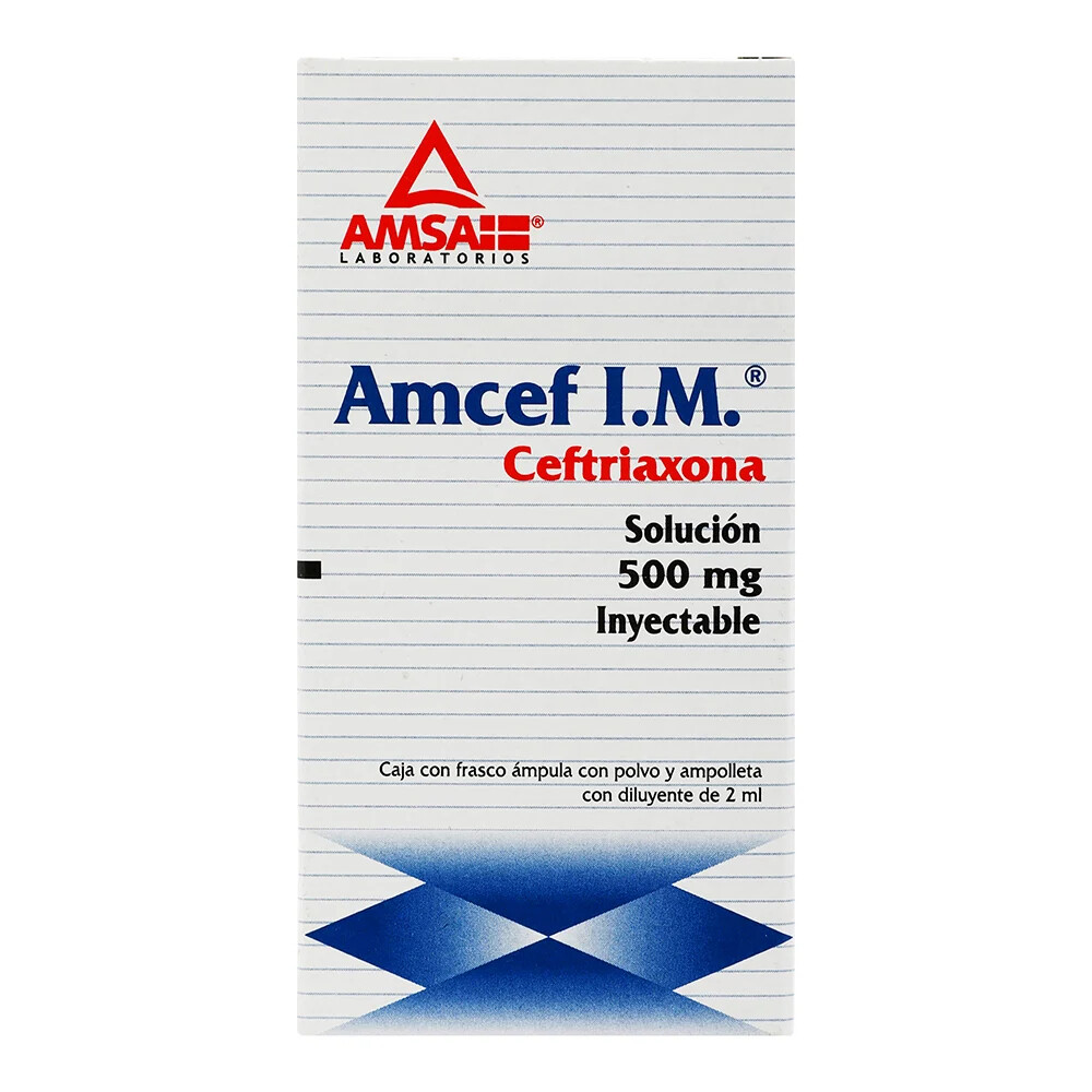 AMCEF 500 MG AMP IM