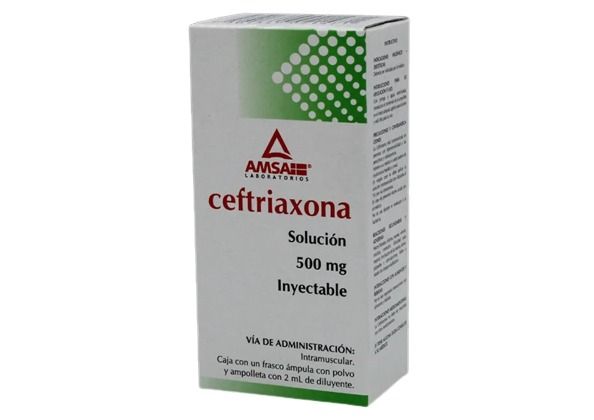 CEFTRIAXONA 500 MG/2 ML AMP AMSA