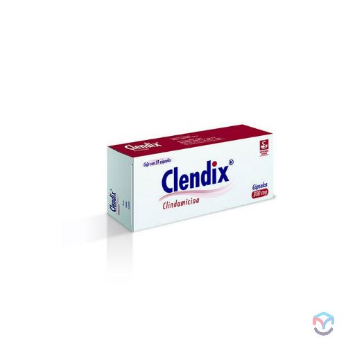 CLENDIX 300 MG 21 TAB