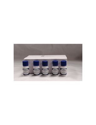 POLVO CICATRIZANTE FCO 6 G SANAX