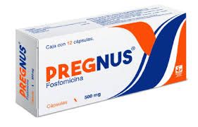 PREGNUS 500 MG 12 CAP