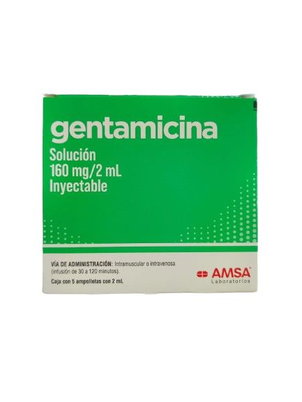 GENTAMICINA 160 MG/2 ML 5 AMP AMSA