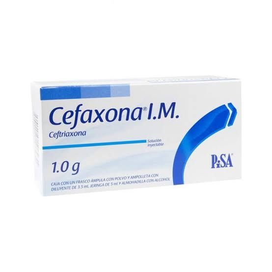 CEFAXONA IM 1 G AMP