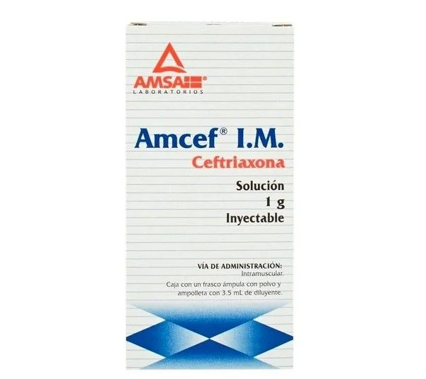 AMCEF 1 G/3.5 ML AMP IM