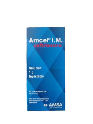 AMCEF 1 G/3.5 ML AMP IM