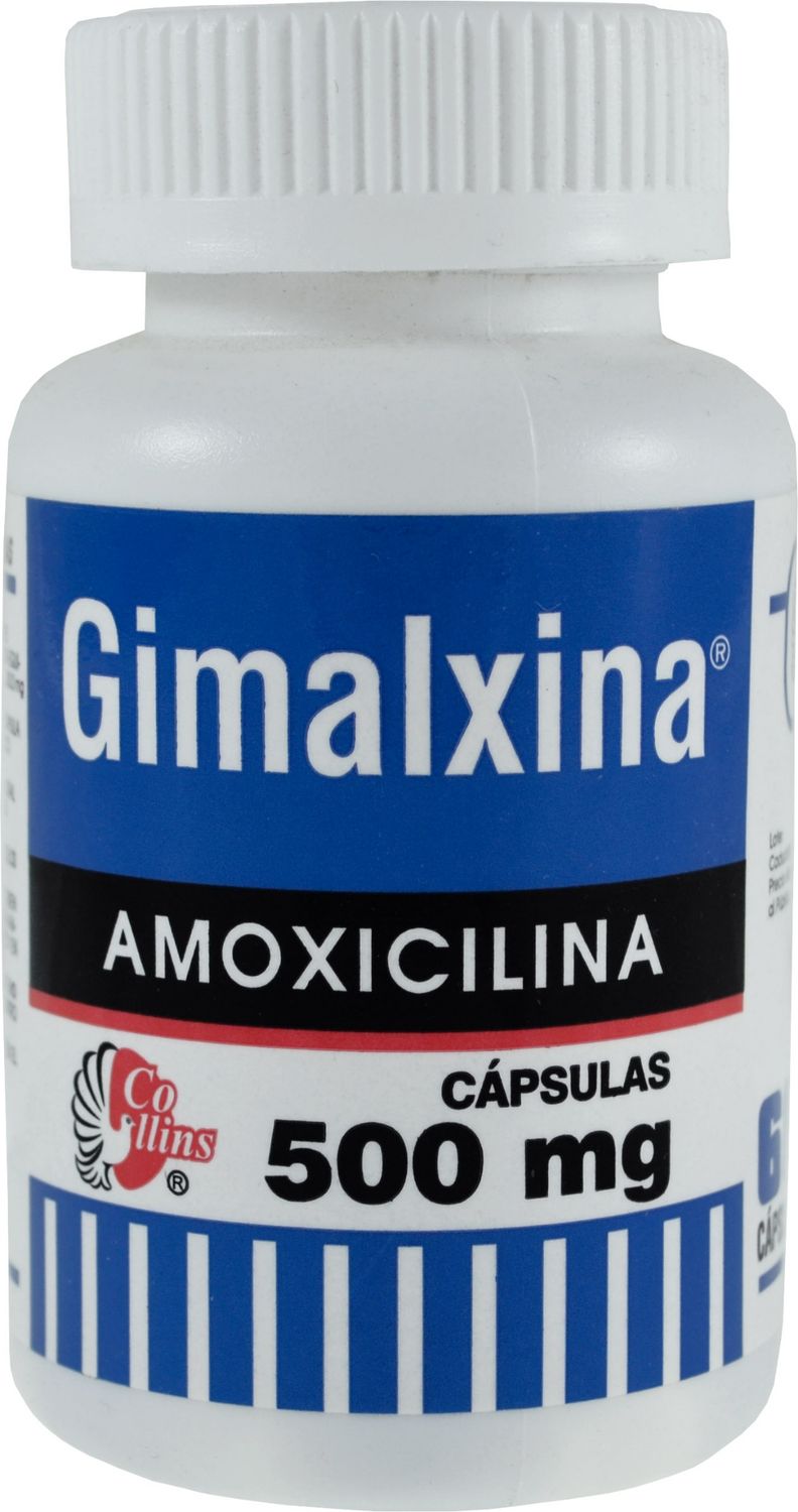 GIMALXINA 500 MG 60 CAP