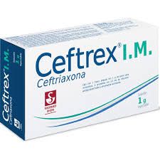 CEFTREX I.M. 1 G AMP IM