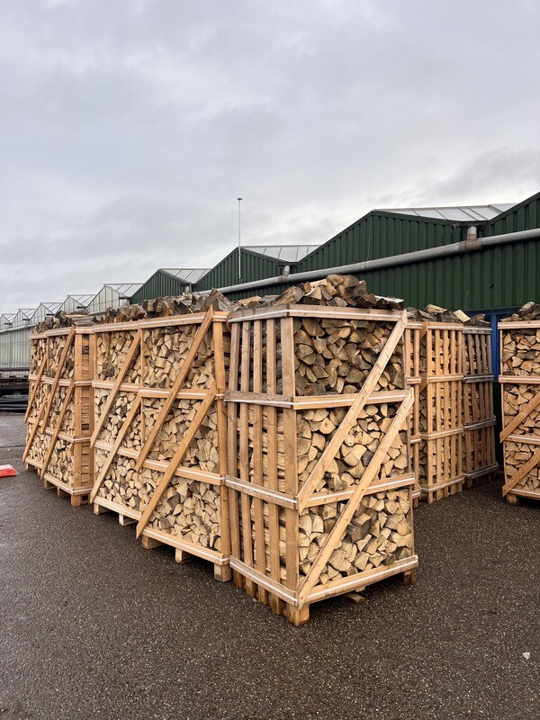 Beukenhout voor je Kachel of Haard