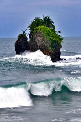 The Island
