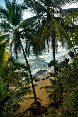 Gandoca, Costa Rica