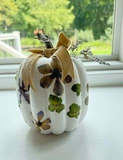 Petals, Podge & Pumpkins Petals, Podge & Pumpkins