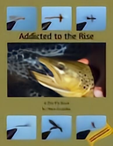 Addicted to the Rise