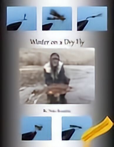 Winter on a Dry Fly