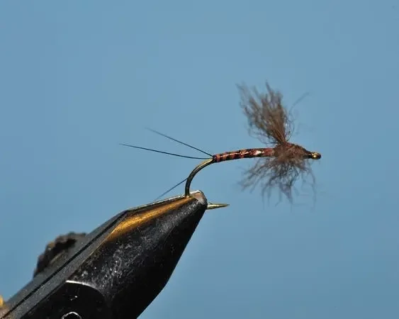 Brown Drake Spent Spinner - SP