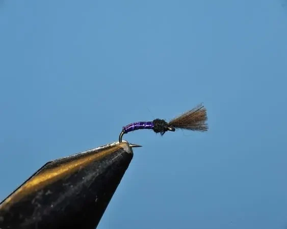 Purple Fish Killer Colored Emerger - SP