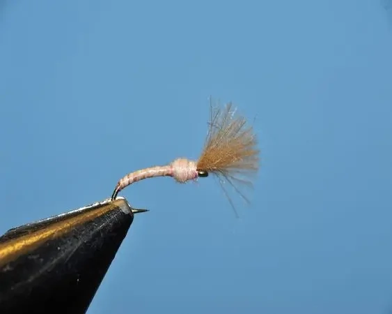Pink Colored Emerger - SP