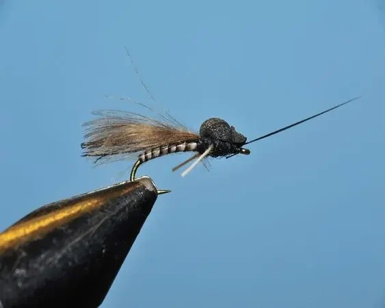 Meathead Caddis - SP
