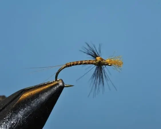 Green Drake Spent Spinner - SP