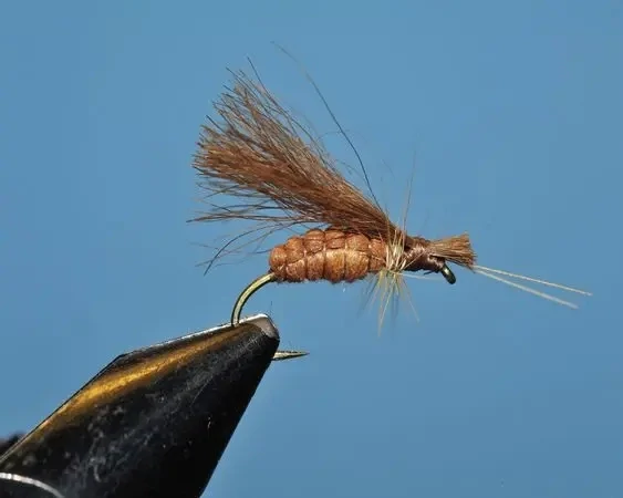 Cinnamon Caddis - SP