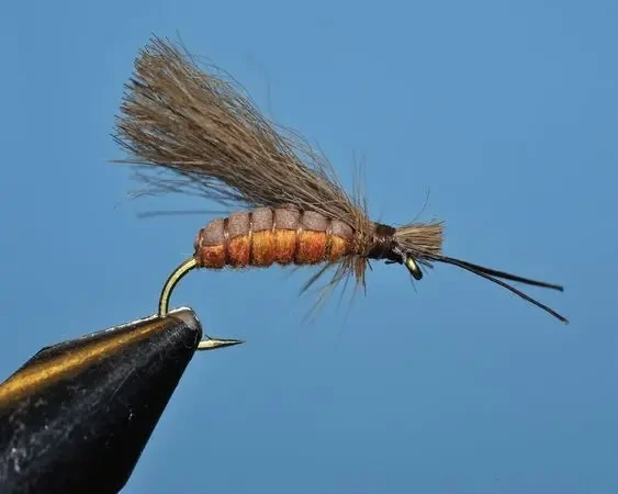 Fall Caddis-SP
