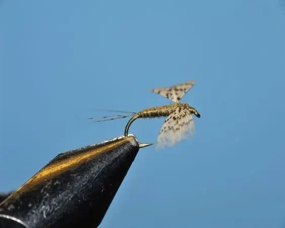 Mayfly Callibaetis Partridge Spinner - SP