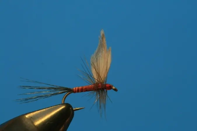 Mayfly Twofer Mahogany - SP