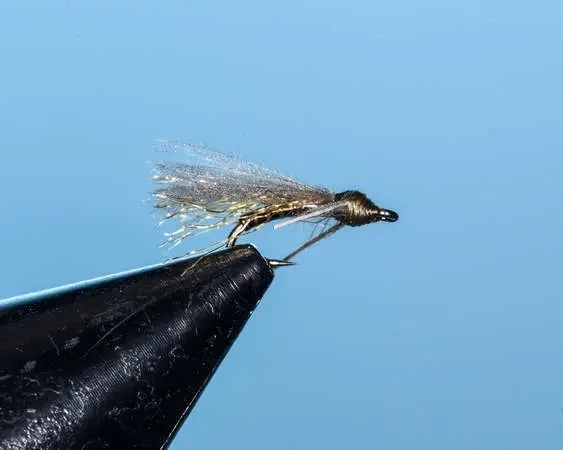 Caddidge - Olive Brown