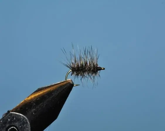 Cluster Midge - SP