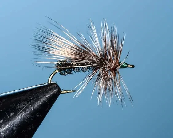 Peacock Caddis