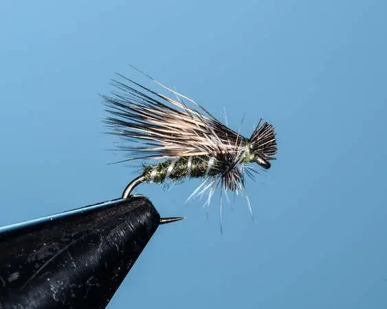 Green Bare Belly Caddis