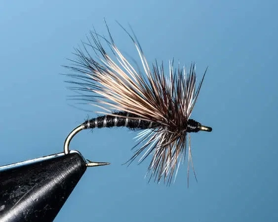 Black Adams Caddis