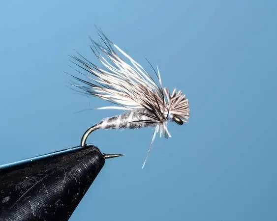 Gray Bare Belly Caddis