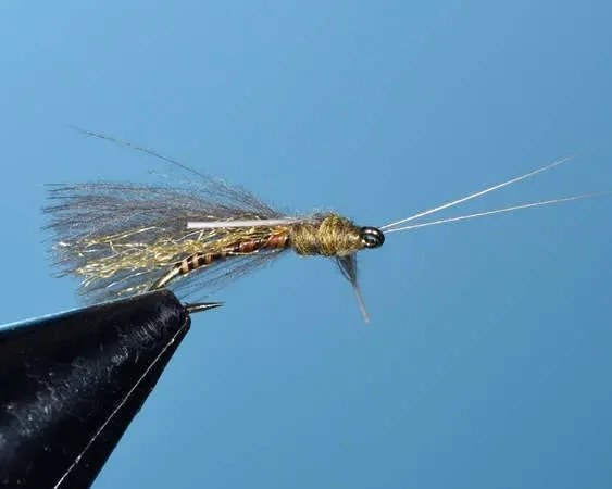 Olive Brown Emperor Caddis