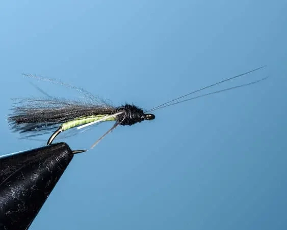 Black and Green Emperor Caddis