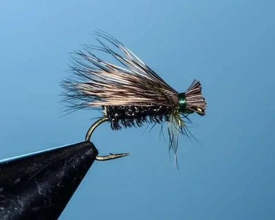 Peacock Get Her Done Caddis