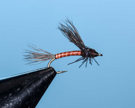 Mahogany Searcher