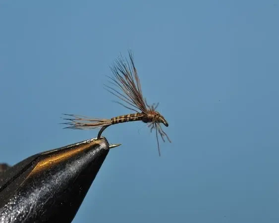 March Brown - SP - Dry Fly Hooks