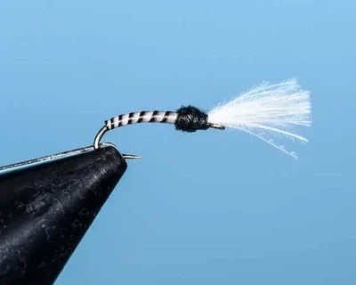 Black with White Wing Colored Emerger