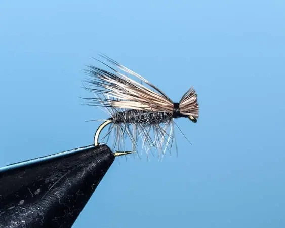 Midnight Caddis